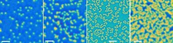 Researchers Report Important Breakthrough in Understanding the Behavior of Magnetic Skyrmions
