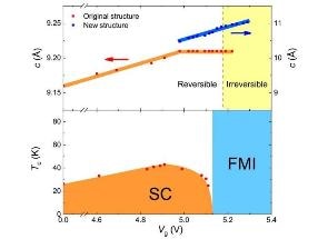 Unique Platform to Study Link Between Superconductivity and Ferromagnetism in Fe-Based Superconductors