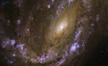 Gaining Insights into NGC 4051 Spiral Galaxy, a Host for Multiple Supernovae