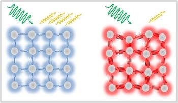Experimental Assessment of Main Microscopic Process of Ultrafast Magnetism