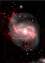 Black Hole Brings down Curtain on Jellyfish Galaxy's Star Turn