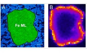 Researchers Successfully Image Majorana Fermions