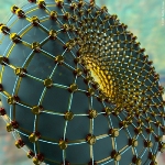 New Protocol Supports 'Noisy Network' Approach for Advancing Quantum Computers