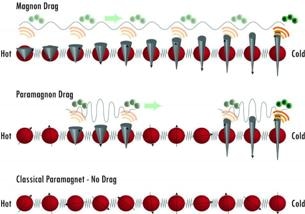 Magnon Drag in Paramagnetic Materials Could Boost Thermoelectric Efficiency