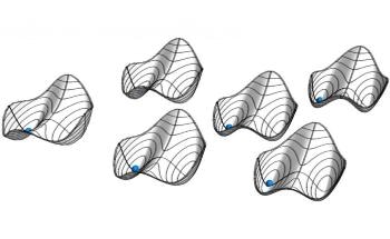 Unifying Platform to Explore Seemingly Dissimilar Phenomena of Time Crystals