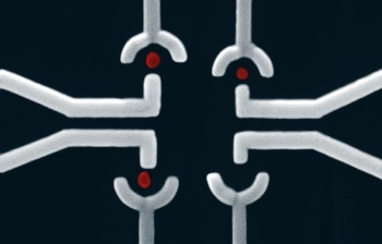 Archer Materials Limited Successfully Assembles Qubit Array Components for Quantum Computing Chip