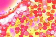 Spin Polarization Used to Probe Many-Body Thermalization