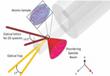 JQI Experimental Data Can Illuminate Issue of Disorder in Quantum Coherence
