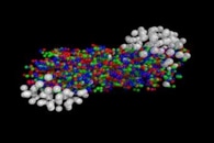 Chern Number in Topological Semimetal PdGa can Reach Maximum Possible Value