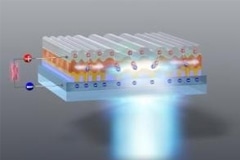 Twinning in Halide Perovskites Revealed