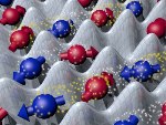 ETH Zurich Physicists Develop Quantum Simulator for Magnetic Materials