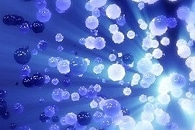 Scientists Investigate the Response of a Supersolid to an Interaction Quench