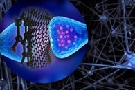Review Highlights Synthesis and Application of Graphene Quantum Dots