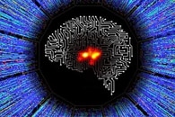 Radboud Physicists Take First Steps Toward a Quantum Brain