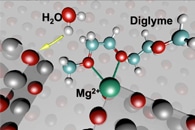Machine Learning Model Provides Complete Quantum Description of the Solvated Electron