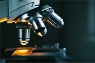 New Quantum Microscope can Reveal Previously Impossible-to-See Biological Structures