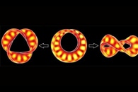 Quantum Nonlocality is a Universal Property Regardless of Particle Speed