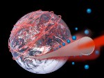 Quantum Mechanical Coupling of Atoms to Fiber Cables May Help Realize Global Quantum Networks