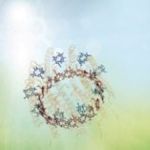 Quantum Character of Light Transport Observed in Photosynthesis