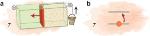 New Laws in Quantum Thermodynamics