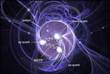 Research on Heavy Ion Collision Provides Insights into Mass of Visible Matter