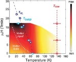 Charge-Order Discovered in High-T Superconductor