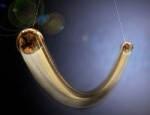 Quantum Logic Spectroscopy Enables Study of Single Photons