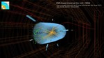 Physicists Discover Rare Particle Decay
