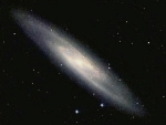 Large Galaxies May Keep Mass Down Through Feast and Fast Sequence