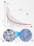 Combined Simple Models May Help Interpret Cosmological Observations of the Early Universe