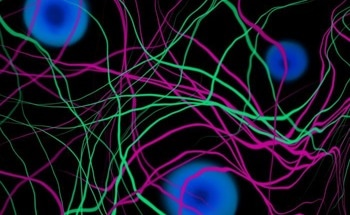 Determining the Origins of Dark Matter