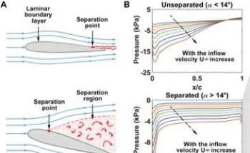 ML and Quantum Computing: Powerful Instruments for Fluid Dynamics