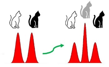Top Logical States for Fault-Tolerant Quantum Computing
