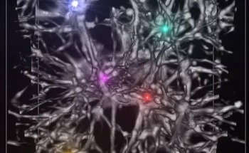Supercomputer Sheds Light on First Star Formation