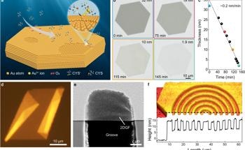 The Role of 2D Gold Flakes in Next-Gen Optoelectronics