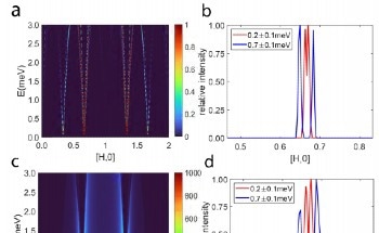 Quasiparticle Discovery Sheds Light on Quantum Spin Liquid State