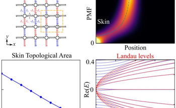 Pseudo-Magnetic Fields Amplify Hidden Skin States in Materials