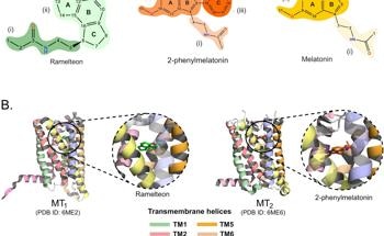 Quantum Mechanics and Its Implications on Melatonin Receptor Research