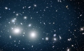 Euclid Reveals a Universe of Orphan Stars
