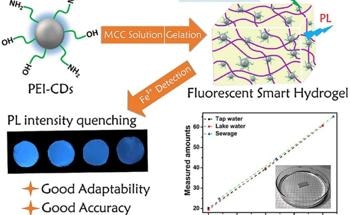 Quantum Dot-Enhanced Hydrogels for Multifunctional Applications