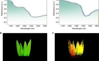 Quantum Dots Revolutionize Affordable NIR Imaging