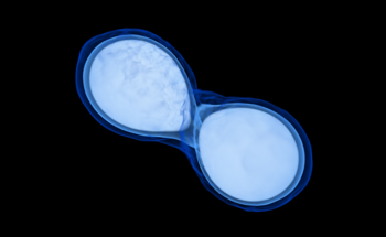 Simulations Describe the Aftermath of Neutron Star Collisions