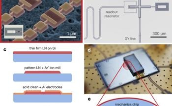 Quantum Insights into Nanomechanical Oscillators