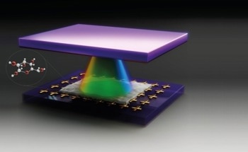 Sugar-Coating Quantum Systems to Harvest Science