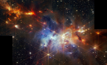 Discovery of Coaligned Protostellar Outflows Sheds Light on Star Formation