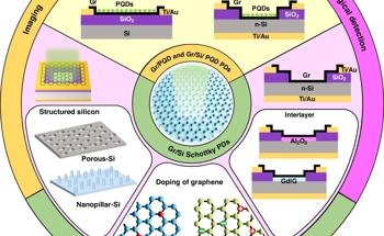 Enhancing Graphene Photodetectors with PQDs and Silicon