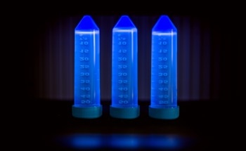 Graphene Quantum Dots Combat Bacterial Infections
