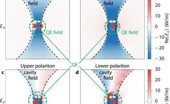 Quantum State Stability via Nanoplasmonic CPA