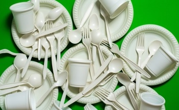 Quantum Model Simulates Bioplastic Production in Bacteria