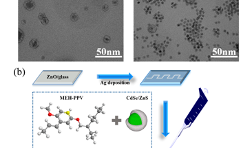 Quantum Dots Expand Photodetector Responsivity